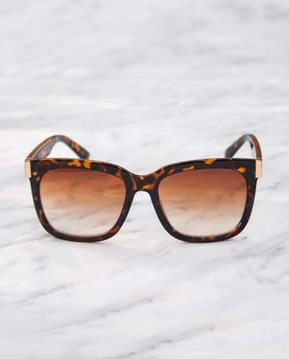 Santa monica cheetah