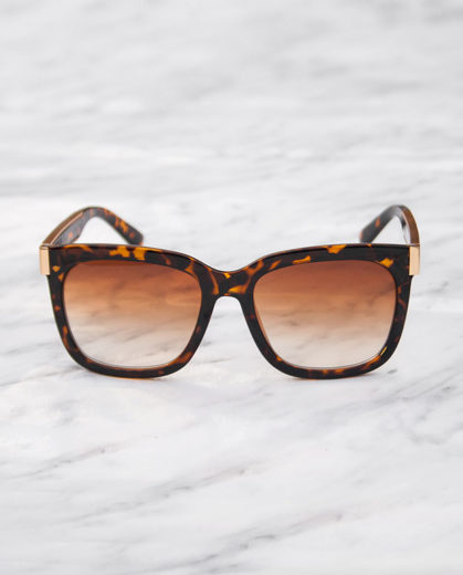 Santa monica cheetah